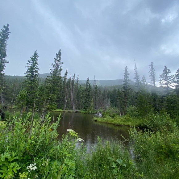 Meet your Posher, Amma - Picture 1 of 1